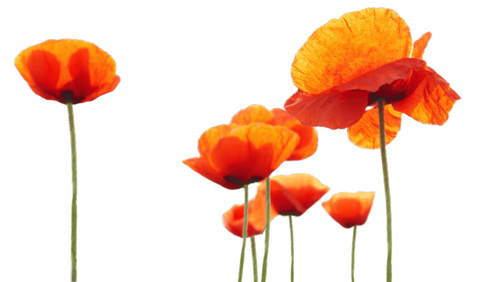 CCAV-The-Childrens-Center-of-the-Antelope-Valley