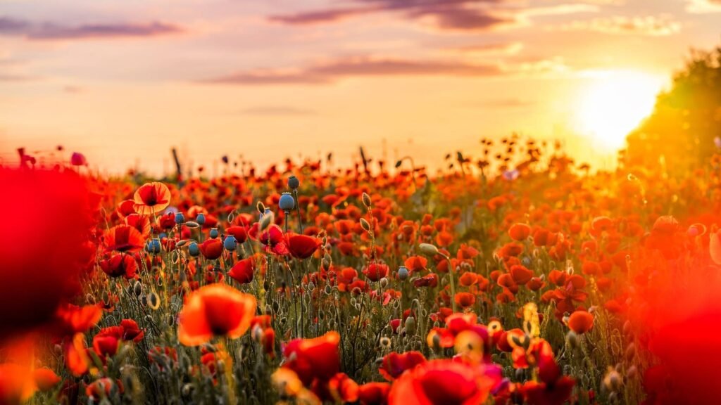 CCAV-The-Childrens-Center-of-the-Antelope-Valley